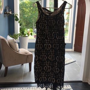 Navy lace dress